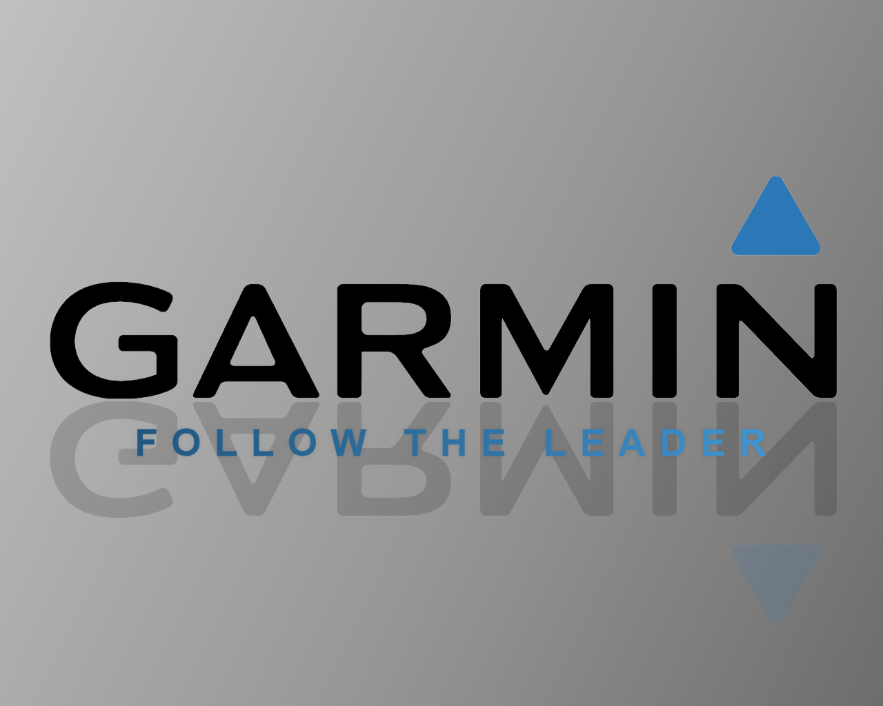 Garmin